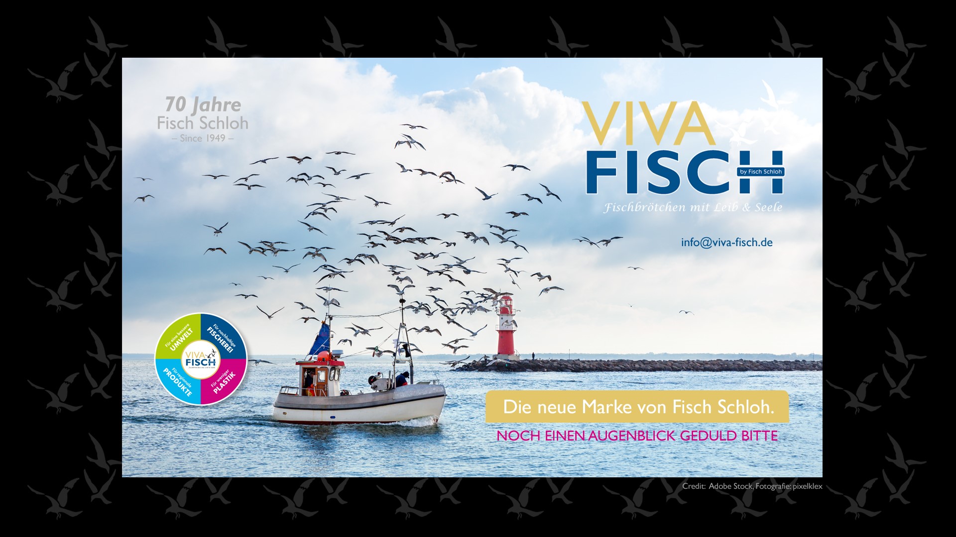 info@viva-fisch.de